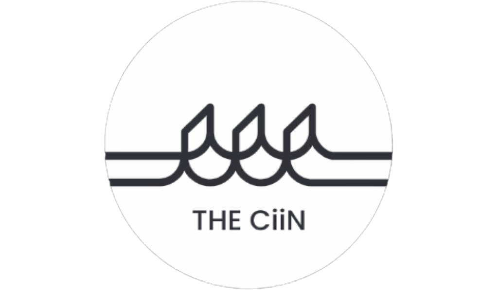 + The CiiN - January 2024