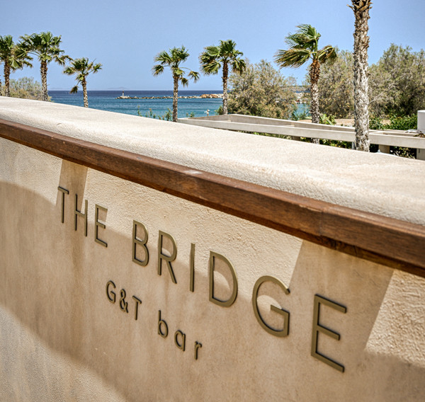 The Bridge G&T Bar
